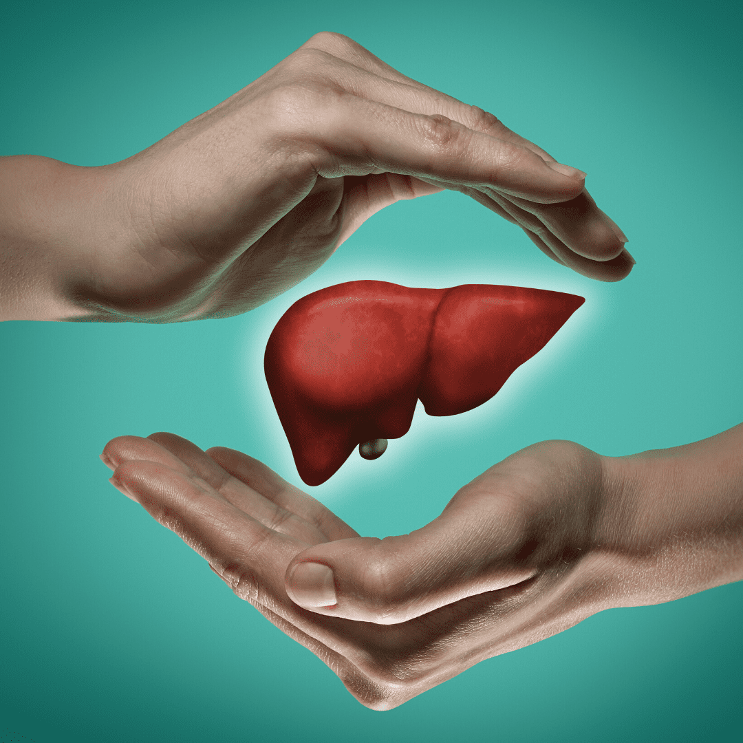 two hand protecting a liver