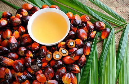 why palm oil is bad for bay formula