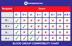 Blood Group Compatibility Chart For Marriage