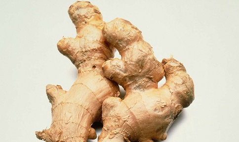 health benefits of ginger 2024