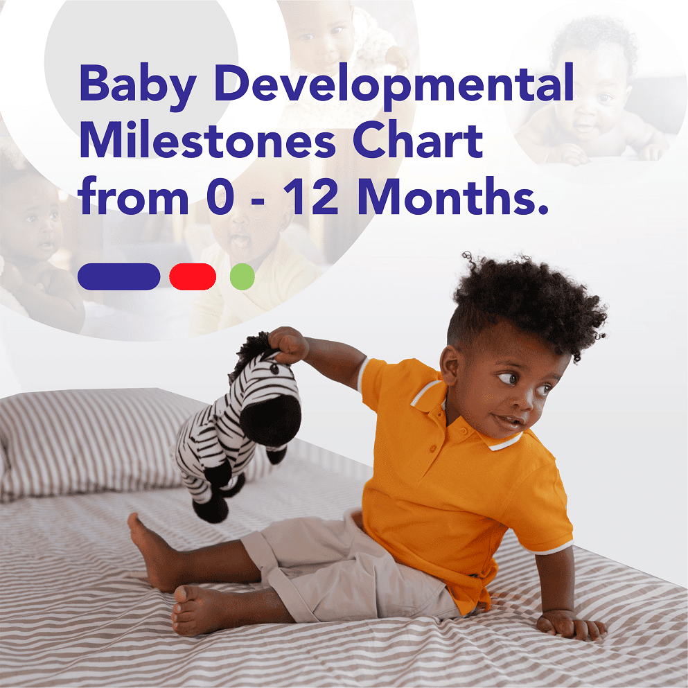 Baby Developmental Milestones Chart from 0 12 Months (1)