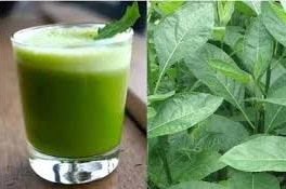 Health benefits of bitter leaf