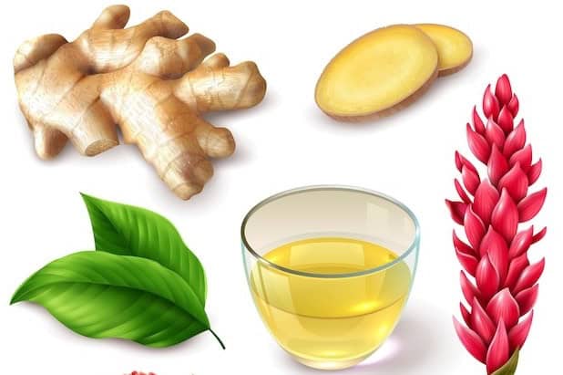 ginger benefits and side efects