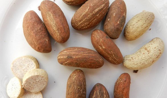 Organic African Bitter Kola (Kola Nut) Powder – 50g (2oz) – High Potency – Awaken Relaxation